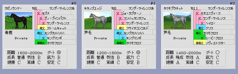 種牡馬カゼノランナー・キタノズエッジ・タマモプラネット